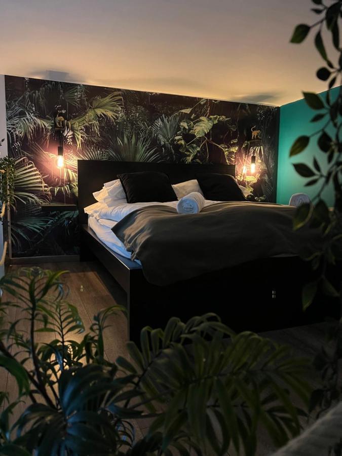 Jungle Lejlighed *